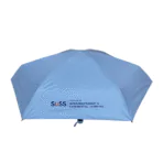 TravelEase Umbrella 22 Portfolio 2025 08 13T124545.696