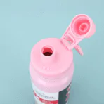 Insulated Handle Bottle 17 293