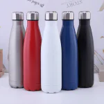 Insulated 500-750ml Sports Bottle