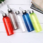 Voyage 600ml Bottle
