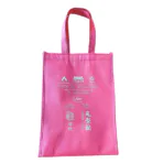 Customised Thermal Cooler Non Woven Bag