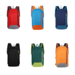 Lione Backpack