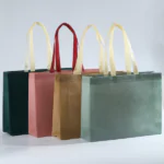 Dual Color Horizontal Non-Woven Bag (Fixed Sizes)