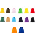 Colored Canvas Drawstring Bag