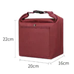 Aurex Cooler Bag 08
