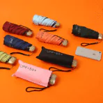 Echo 19 Foldable Umbrella 01