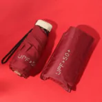 Echo 19 Foldable Umbrella 10