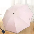 Pico 21 Foldable Umbrella 01